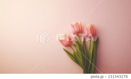 Three elegant pink tulips rest on a soft pastel pink background, creating a serene and romantic atmosphere perfect for valentine's day, women's day, or springtime celebrations 131343278