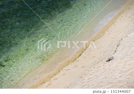 白い砂浜 131344007