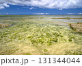 透き通った沖縄の海 131344044