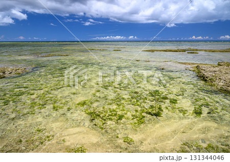 透き通った海 131344046