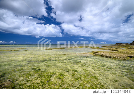 透明度抜群の海がある沖縄 131344048