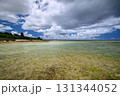 透明度のある沖縄の海 131344052