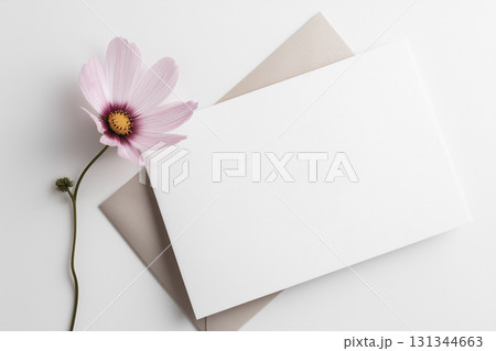 コスモスと便箋 コスモスと便箋 131344663