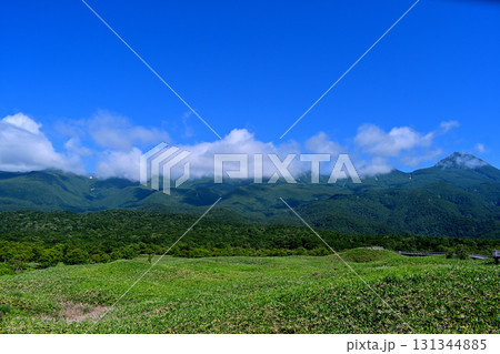 知床五胡・高架木道から見た羅臼岳と知床連山 131344885
