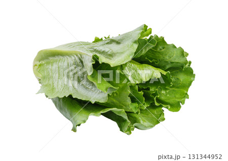 Whole fresh ramen salad, lettuce head isolated on white background, healthy raw leafy vegetable 131344952