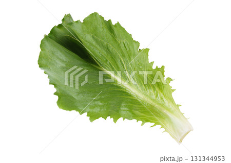 Fresh green romaine salad, lettuce leaf isolated on white background. Healthy food, vegetable 131344953