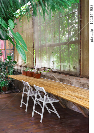 Wooden table with chairs and potted plants near window. Work space in green garden interior 131344988