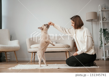 Training, teaching tricks. Young woman is with her pug dog at home Training, teaching tricks. Young woman is with her pug dog at home 131345741