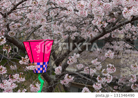 信貴山　朝護孫子寺　桜祭りの提灯 131346490