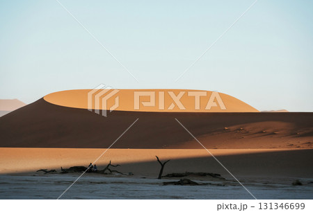 Sossusvlei, Famous sand dunes and dead trees in Deadvlei 131346699