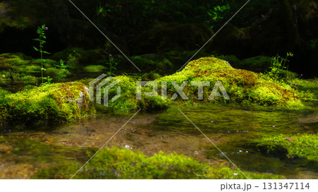 Natural Spring Waters and Mossy Stones Natural Spring Waters and Mossy Stones 131347114