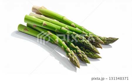 白い背景にアスパラガス 白い背景にアスパラガス 131348371