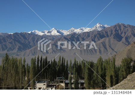 Green oasis Leh and mountains, Ladakh, India. Green oasis Leh and mountains, Ladakh, India. 131348484