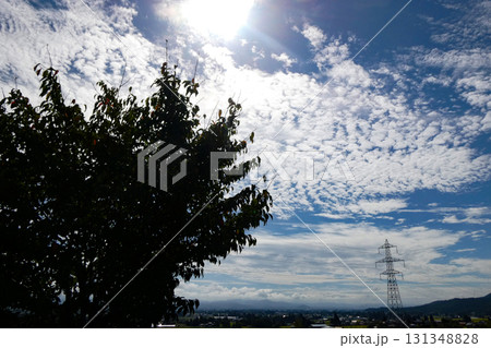 秋の空と雲と太陽が輝く草原 はかなく美しい秋の雲 秋の空と雲と太陽が輝く草原 はかなく美しい秋の雲 131348828