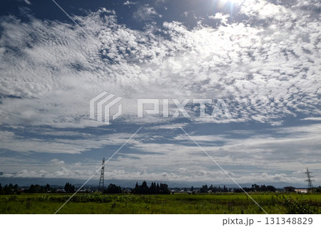 秋の空と雲と太陽が輝く草原　はかなく美しい秋の雲 131348829