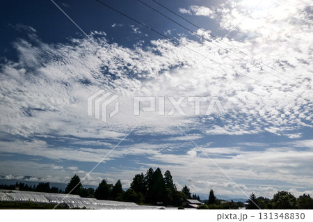 秋の空と雲と太陽が輝く草原　はかなく美しい秋の雲 131348830