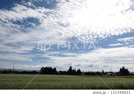 美しい秋の天気の良い空の雲と虹彩 美しい秋の天気の良い空の雲と虹彩 131348831