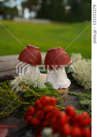 Autumn-inspired project using natural and waste materials, depicting a mushroom. Autumn-inspired project using natural and waste materials, depicting a mushroom. 131351279