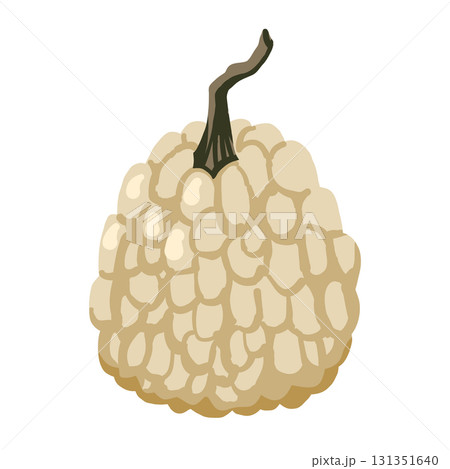 Warty pumpkin in gray tones, Flat vector illustration for Thanksgiving cards, autumn pattern, and seasonal designs for textile, wrapping Warty pumpkin in gray tones, Flat vector illustration for Thanksgiving cards, autumn pattern, and seasonal designs for textile, wrapping 131351640