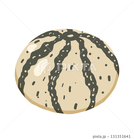 Striped pumpkin vector illustration. Autumn seasonal vegetable for Halloween and Thanksgiving decoration. Flat illustration for wallpaper, wrapping 131351641