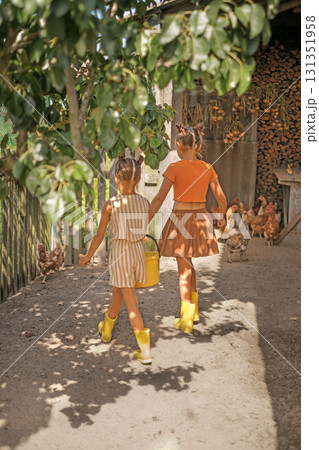 The girls are carrying a bucket of water to water the domestic chickens. Children feed poultry in the village The girls are carrying a bucket of water to water the domestic chickens. Children feed poultry in the village 131351958