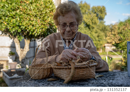 Senior woman shelling dried beans in the field Senior woman shelling dried beans in the field 131352137