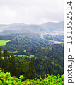 Lush, green landscape in the Azores, Portugal, featuring rolling hills and dense forested areas 131352514