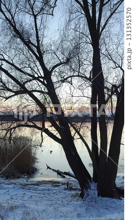 Calm river flowing through frosty winter landscape. 131352570