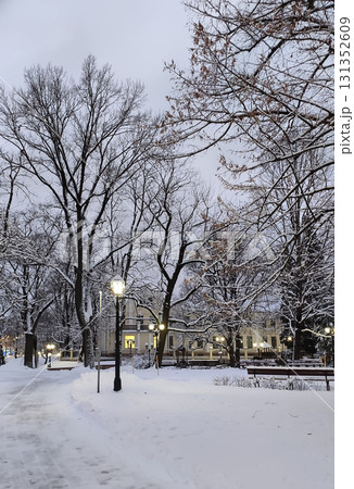 Scenic city park view with snowy trees in winter. 131352609