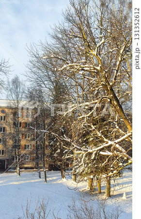 Snowy urban street view in Riga, Latvia in winter. 131352612