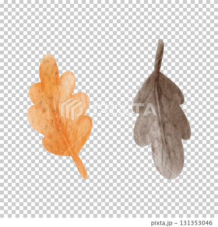 Watercolor oak leaves orange and brown. Hand drawn illustration isolated on a background. For autumn designs. Watercolor oak leaves orange and brown. Hand drawn illustration isolated on a background. For autumn designs. 131353046