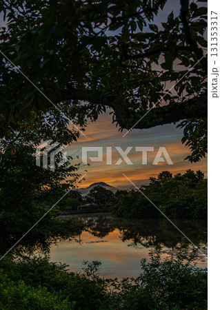 篠山城跡 131353317