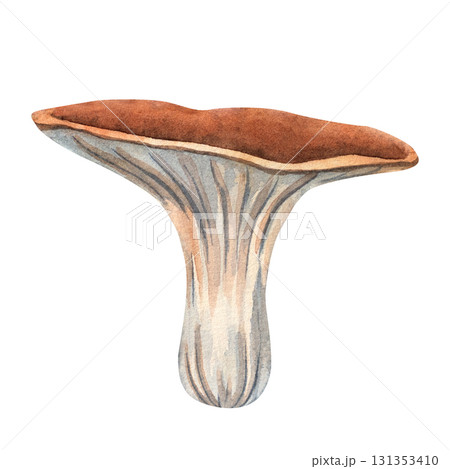 Watercolor chanterelle mushroom illustration, perfect for forest designs, cards, patterns, posters, and kitchen decor 131353410