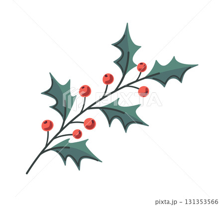 Red berries for Christmas bouquet Red berries for Christmas bouquet 131353566