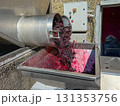Red grapes actively falling from a stainless steel destemmer machine into a collection vat, showing the initial stage of the essential winemaking process at a modern winery 131353756
