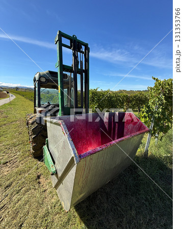Tractor forklift raising an empty bin stained with red grape juice in a sunny vineyard during harvest season, representing wine production and agriculture Tractor forklift raising an empty bin stained with red grape juice in a sunny vineyard during harvest season, representing wine production and agriculture 131353766