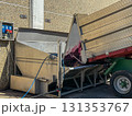 Grapes are pouring from a trailer into a stainless steel destemmer and crusher machine, beginning the winemaking process after harvest at a production facility 131353767
