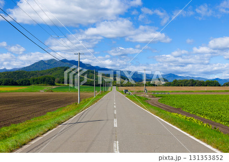 青空と一本道 131353852