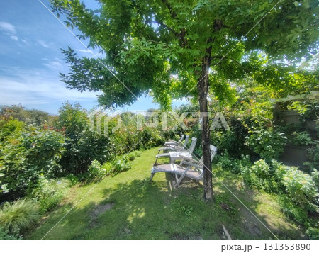 中之条ガーデンズ　ローズガーデンのテラス 131353890