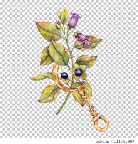 Watercolor illustration deadly nightshade Atropa belladonna with purple berries and flowers combined with rusty crescent moon sickle. Esoteric botanical motif for packaging tattoos, mystic branding. 131353984