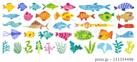 Crayon drawing different fish. Chalk draw exotic fish and seaweeds. Isolated children style hand drawn underwater elements, sea, ocean animals, neoteric vector set 131354496