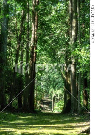 茨城県城里町 新緑の白雲山小松寺 茨城県城里町 新緑の白雲山小松寺 131354505