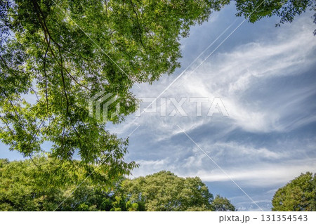 新緑の龍門の滝 131354543