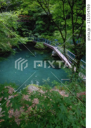 高知県津野町　新緑の白龍湖 131354769