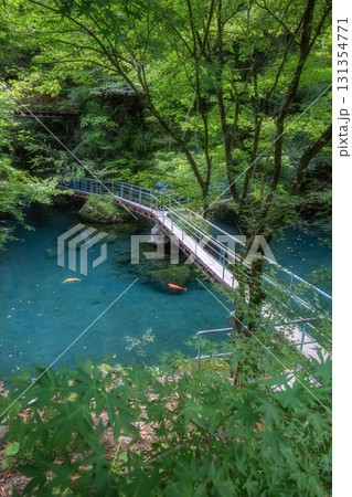 高知県津野町　新緑の白龍湖 131354771