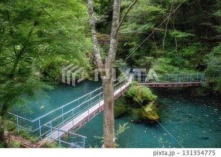 高知県津野町　新緑の白龍湖 131354775