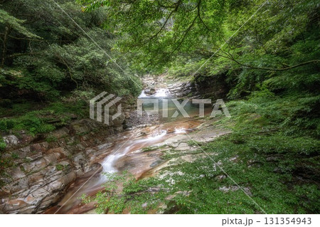 愛媛県久万高原町　新緑の面河渓 131354943