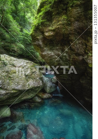 高知県仁淀川町 新緑の中津渓谷 高知県仁淀川町 新緑の中津渓谷 131355007