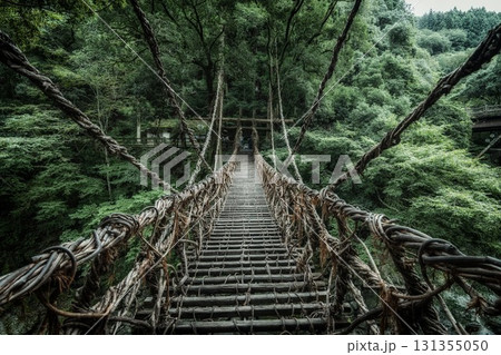 徳島県三好市 新緑の祖谷のかずら橋 徳島県三好市 新緑の祖谷のかずら橋 131355050