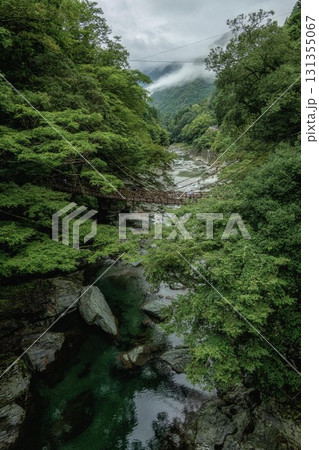 徳島県三好市 新緑の祖谷のかずら橋 徳島県三好市 新緑の祖谷のかずら橋 131355067